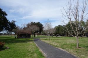 Another View Of The Trail