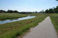View Of The Trail
