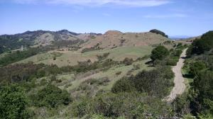 Sibley View