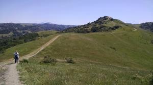 Ridge Top