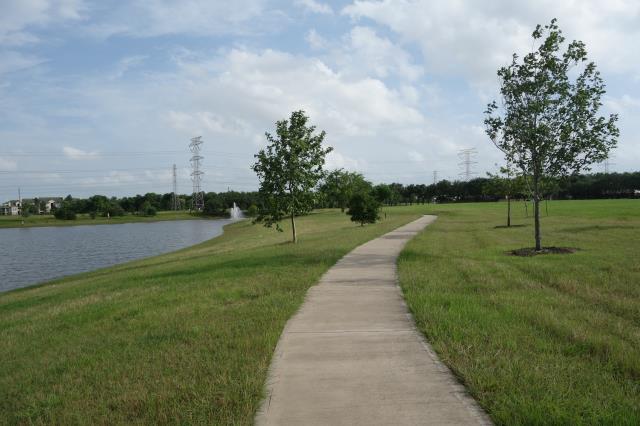 View Of The Trail