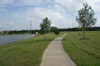 View Of The Trail