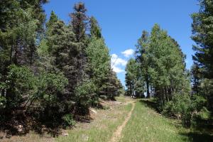 Another View Of The Trail