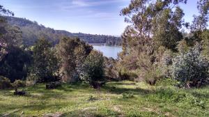Lake Chabot