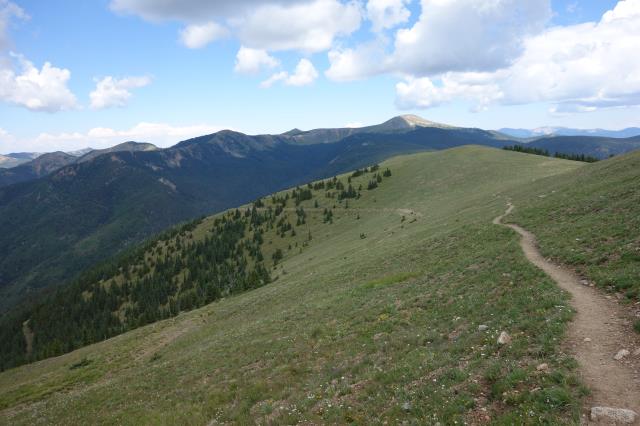 View Of The Trail