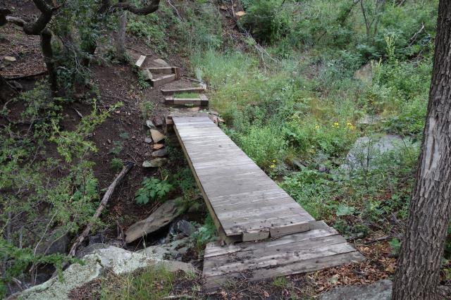 Another View Of The Trail