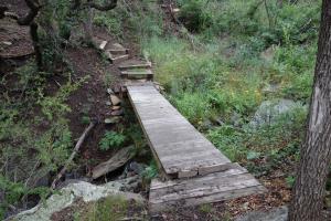 Another View Of The Trail