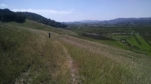 Marsh Overlook