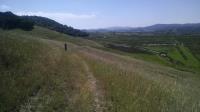 Marsh Overlook