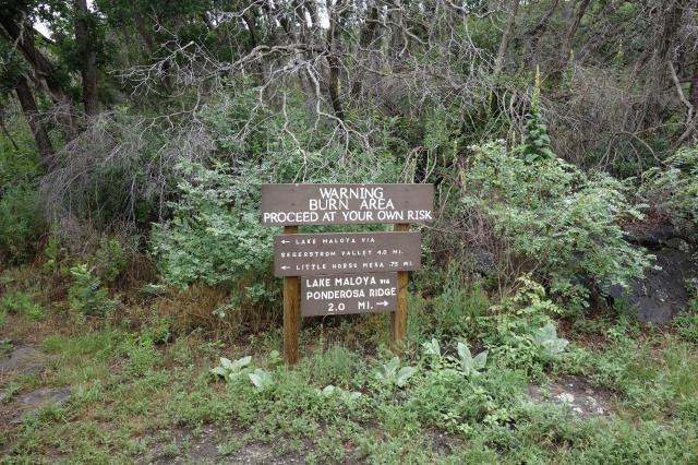 Trailhead