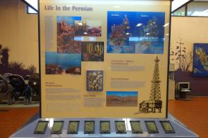 Indoor Exhibits