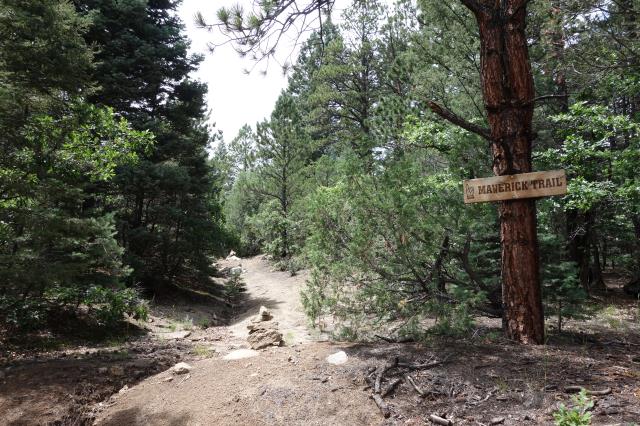 Another View Of The Maverick Trail