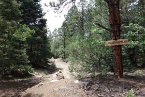 Another View Of The Maverick Trail