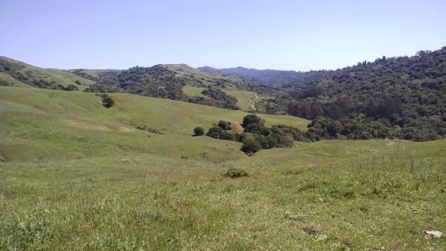 Havey Canyon