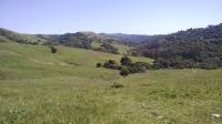 Havey Canyon