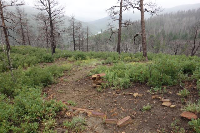View Of The Trail