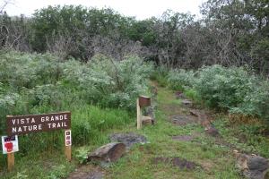 Trailhead