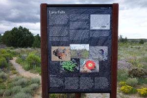 Trailhead