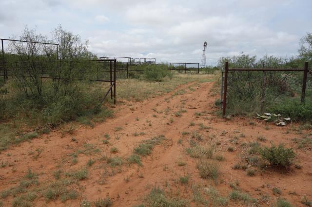 The Old Ranch