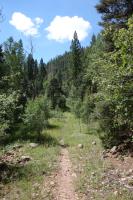 View Of The Trail