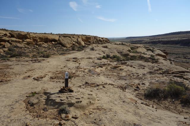 View Of The Trail