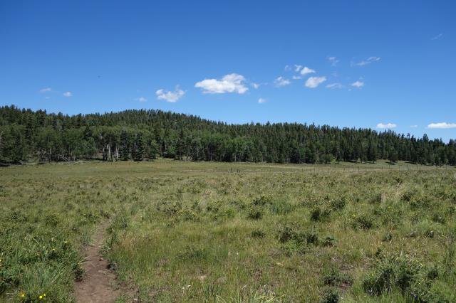 View Of The Trail