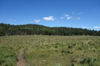 View Of The Trail