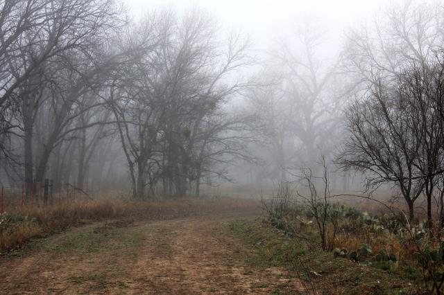 A Rare Foggy Morning