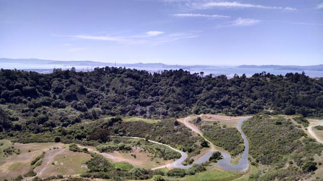 SF