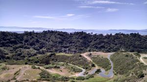 SF