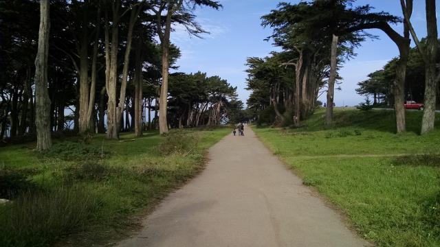 Trail View