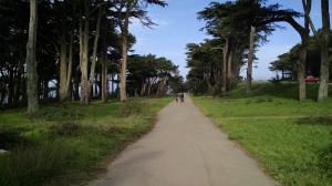 Trail View