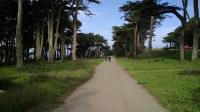 Trail View