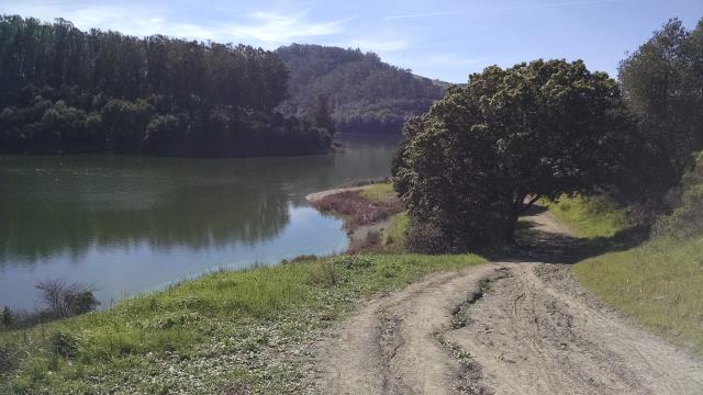 Shoreline