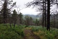 Another View Of The Trail