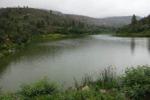 Lake Alice
