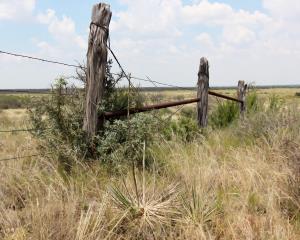 Fence Post at Burkett Park