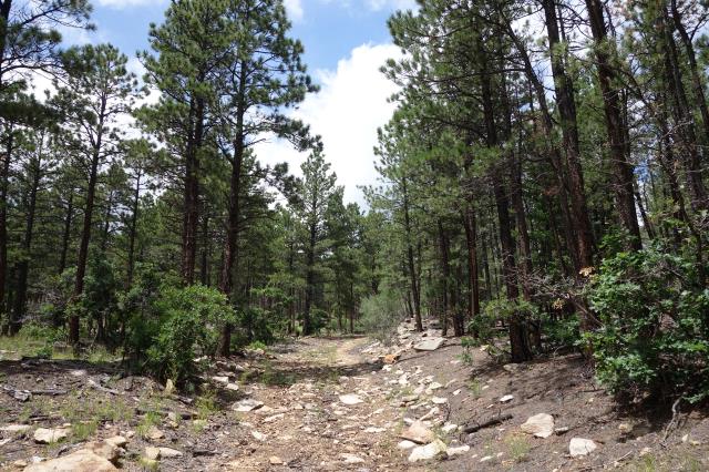 View Of The Maverick Trail