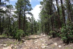 View Of The Maverick Trail