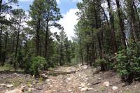 View Of The Maverick Trail