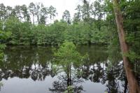 Stahl Preserve