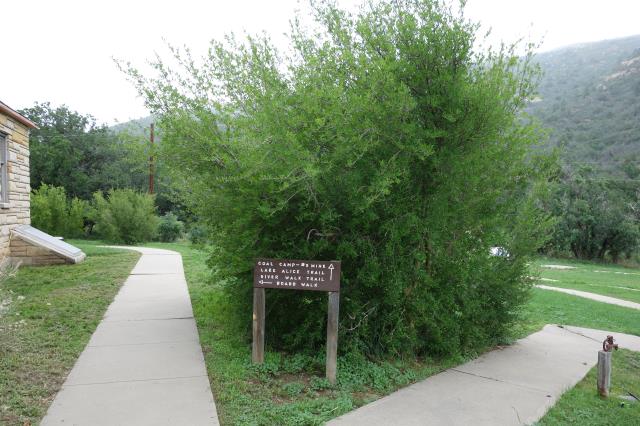 Trailhead