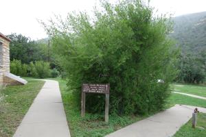 Trailhead