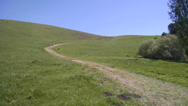 Trail View