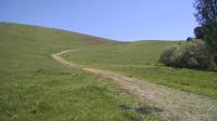 Trail View