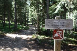 Lake Williams Trailhead