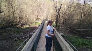 The Bridge