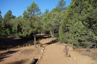 View Of The Trail