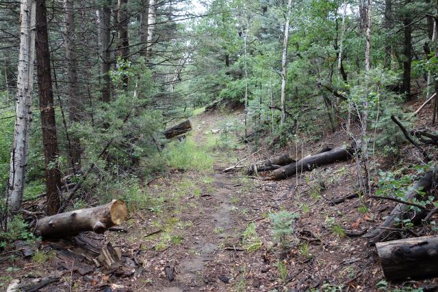 View Of The Blackjack Trail