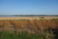 Lake Wichita